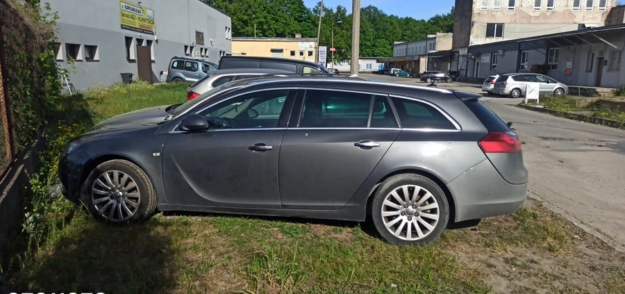 Opel Insignia cena 9900 przebieg: 203000, rok produkcji 2010 z Puławy małe 56